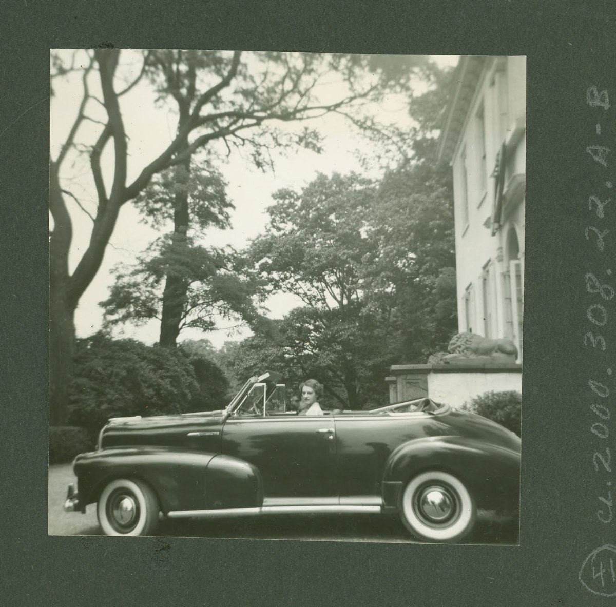 The Lives of Livingston Ladies: The 20th&nbsp;Century